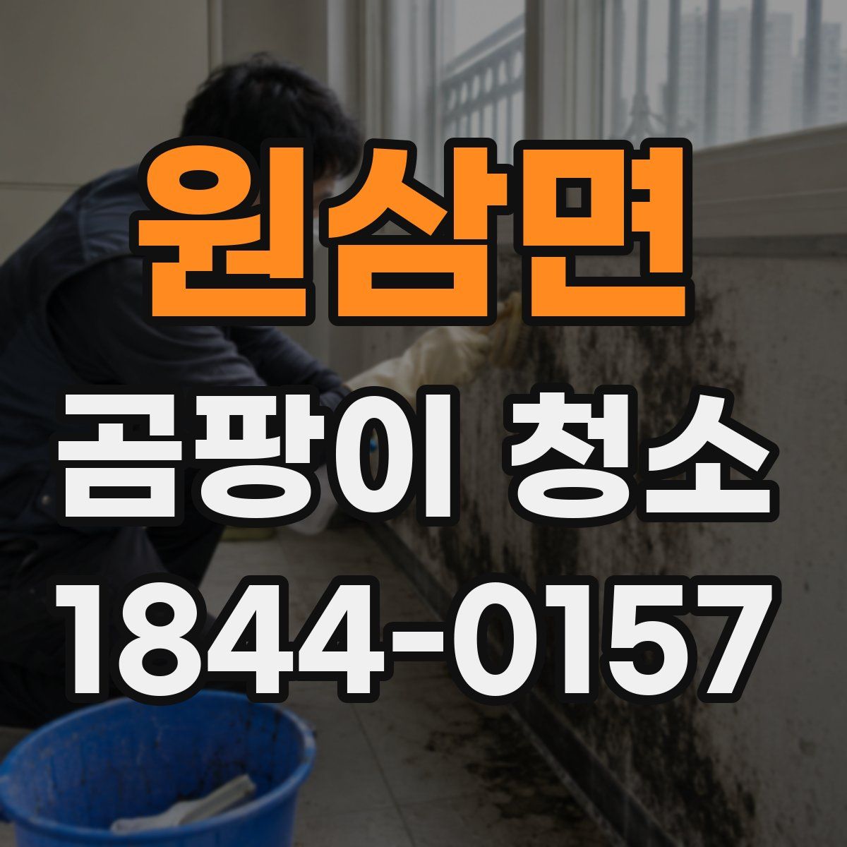 원삼면 곰팡이 청소