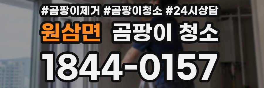 원삼면 곰팡이 청소