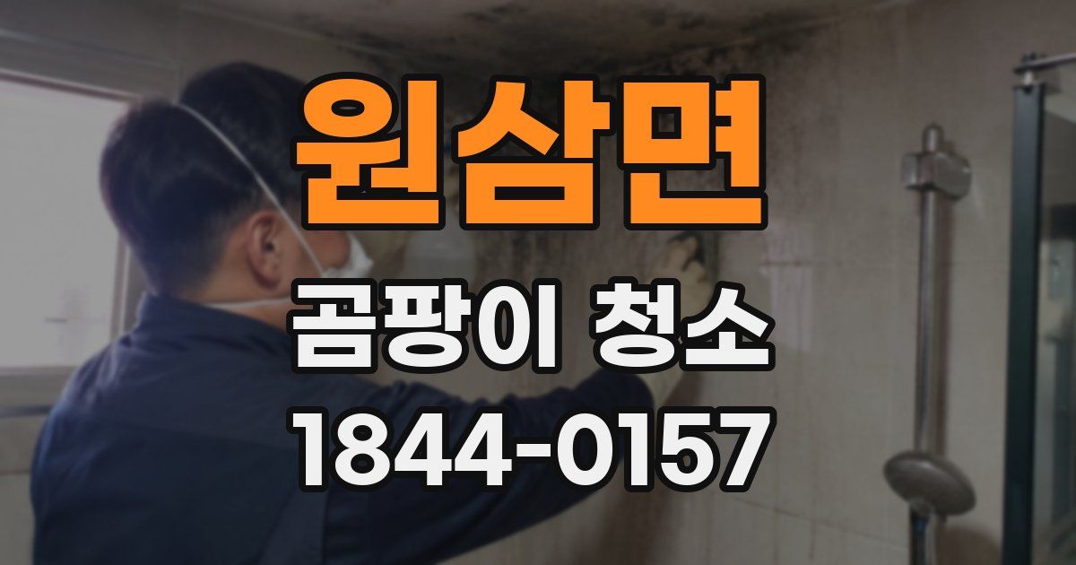 원삼면 곰팡이 청소