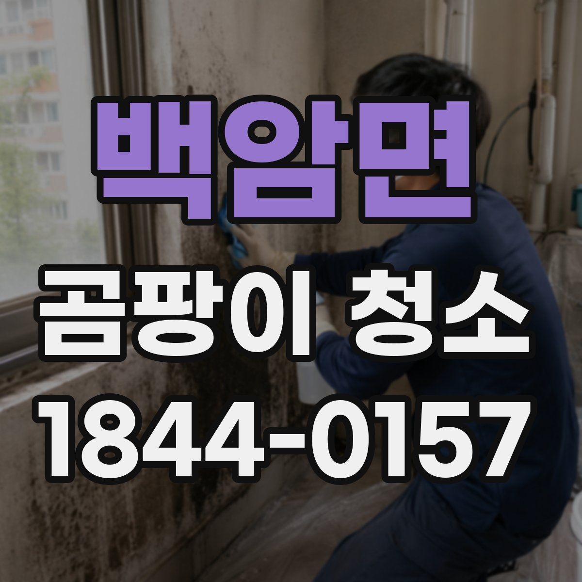 백암면 곰팡이 청소 뒤 작업 전후 사진 기록이 유용한 사례