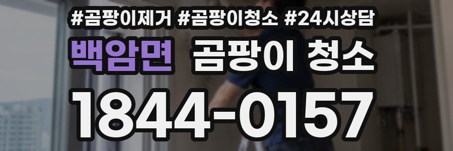 백암면 곰팡이 청소