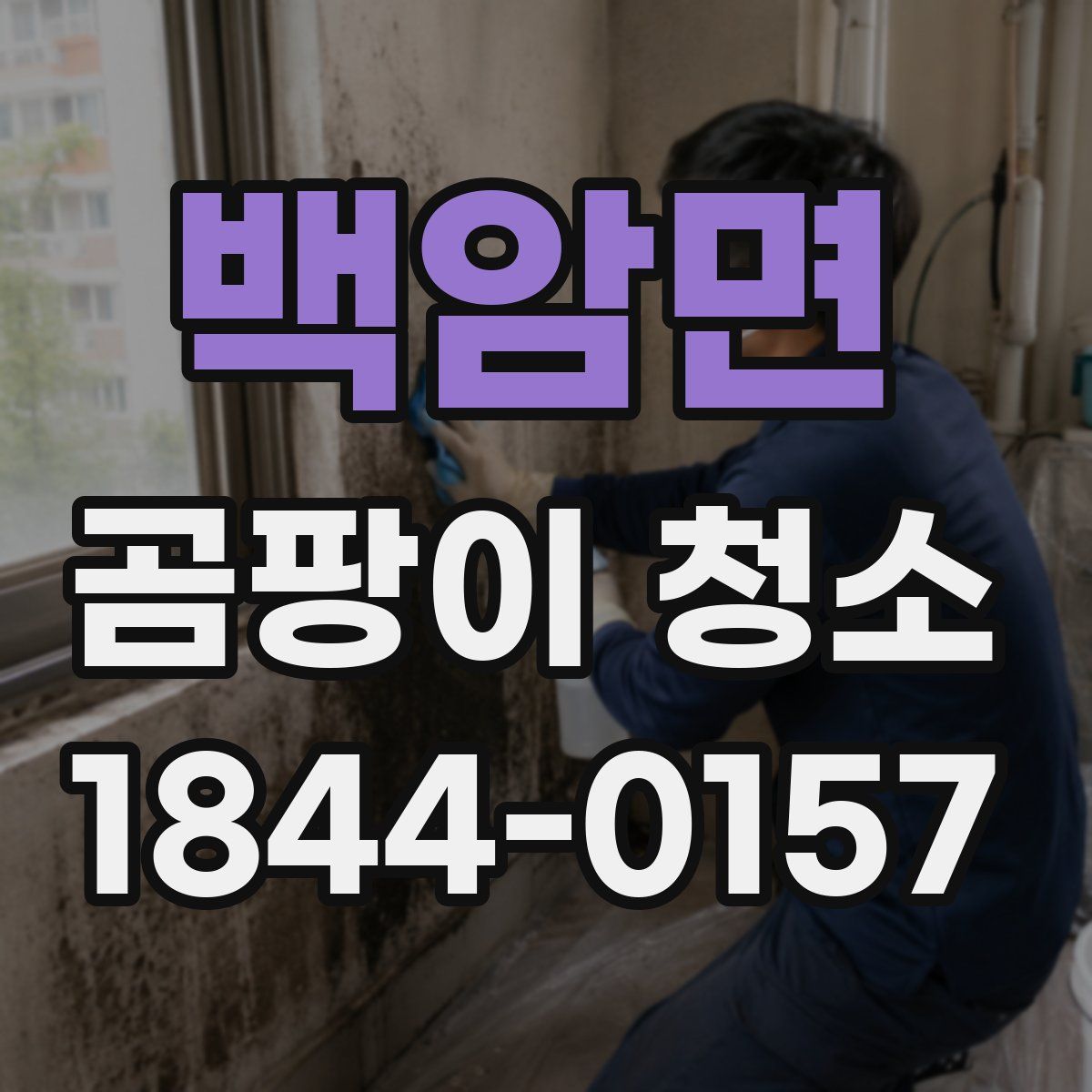 백암면 곰팡이 청소