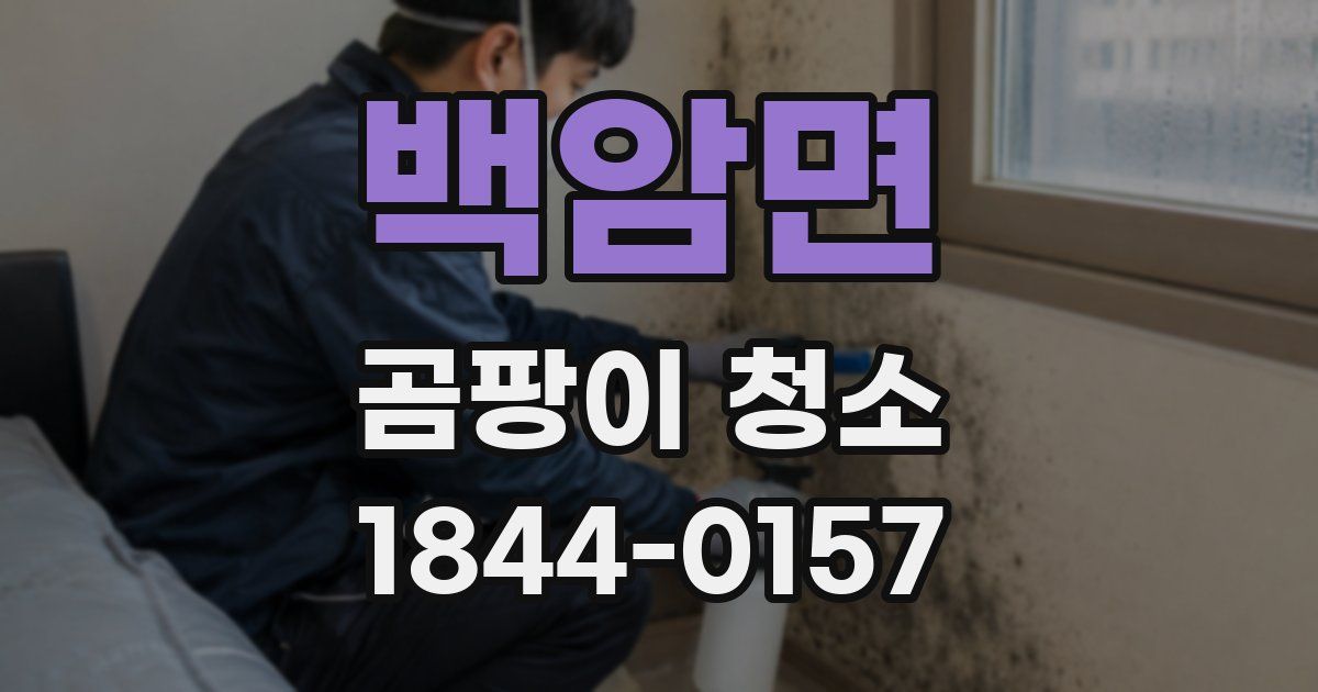백암면 곰팡이 청소