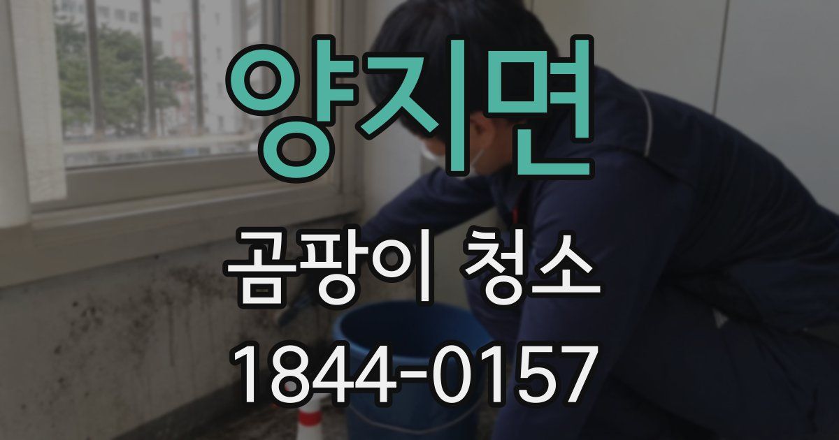 양지면 곰팡이 청소
