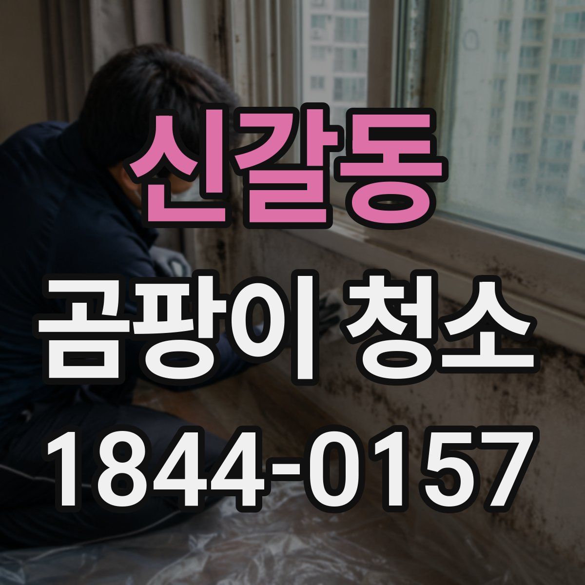 신갈동 곰팡이 청소
