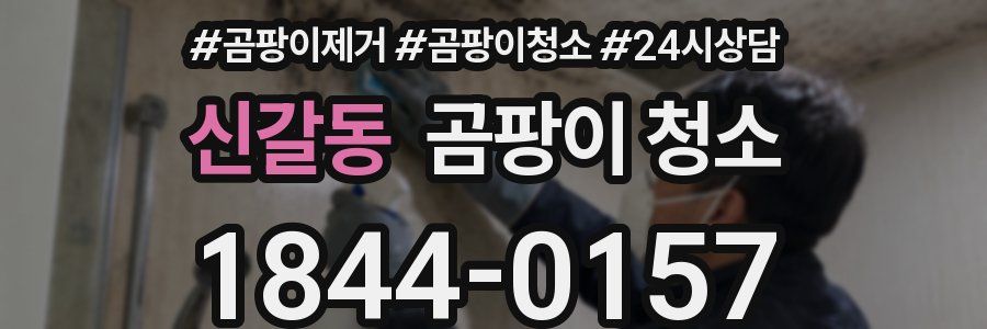 신갈동 곰팡이 청소