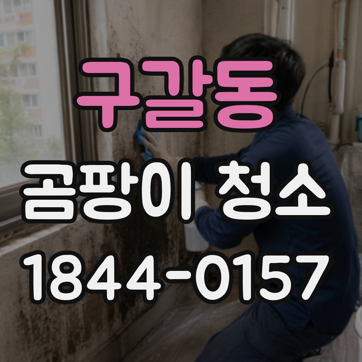 구갈동 곰팡이 청소