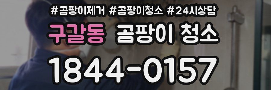구갈동 곰팡이 청소