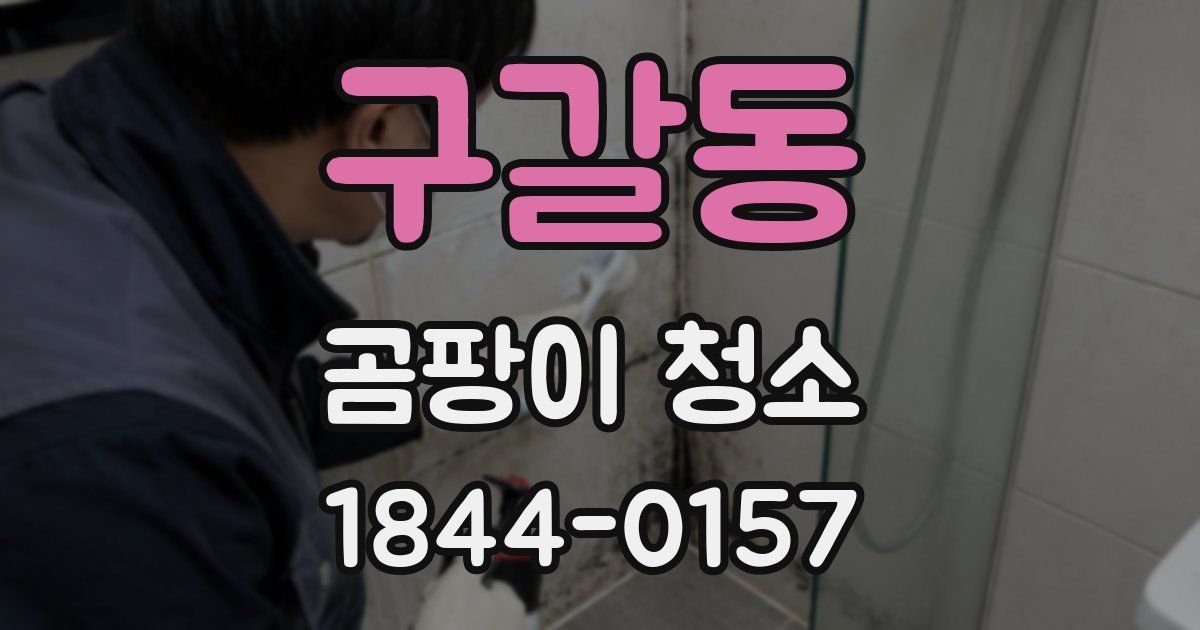 구갈동 곰팡이 청소