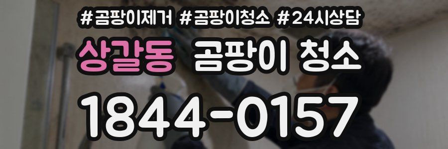 상갈동 곰팡이 청소