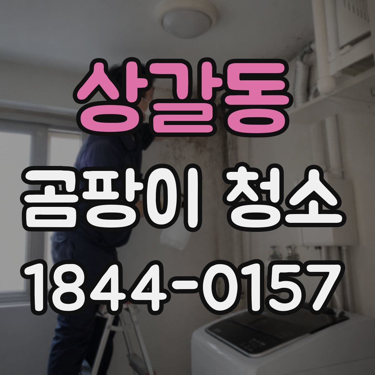 상갈동 곰팡이 청소