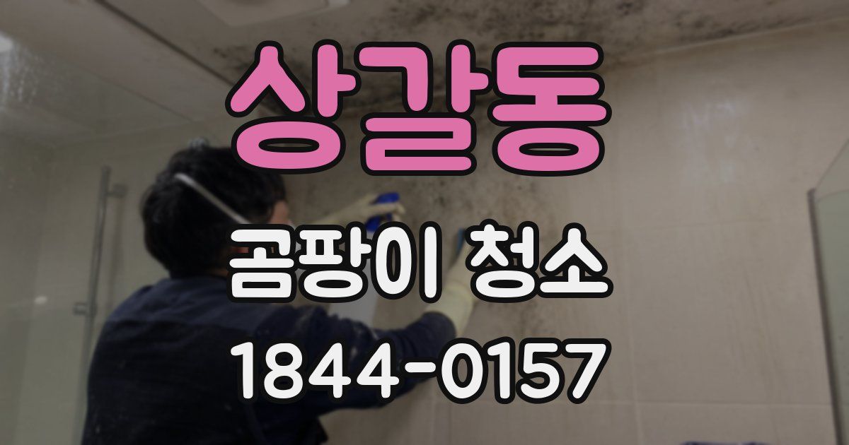 상갈동 곰팡이 청소