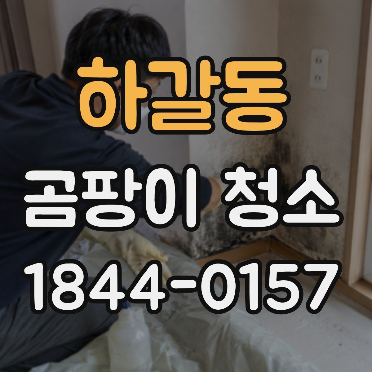 하갈동 곰팡이 청소 주거 공간별로 달라지는 접근법