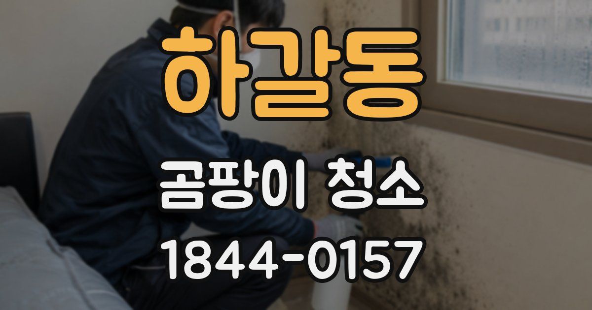 하갈동 곰팡이 청소