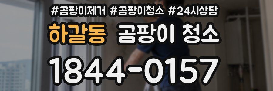 하갈동 곰팡이 청소