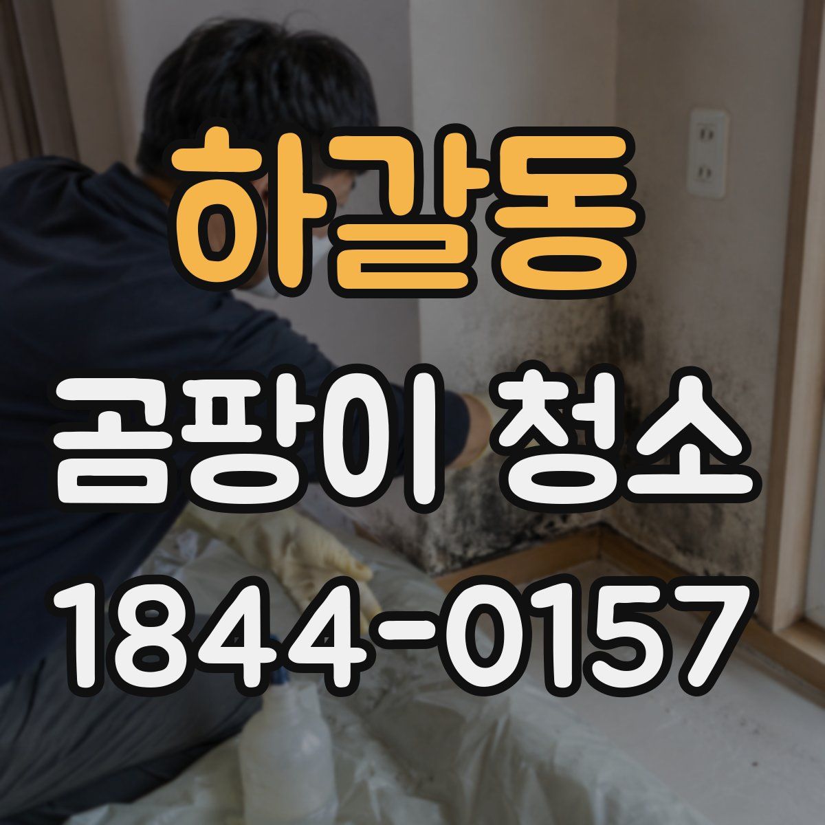 하갈동 곰팡이 청소