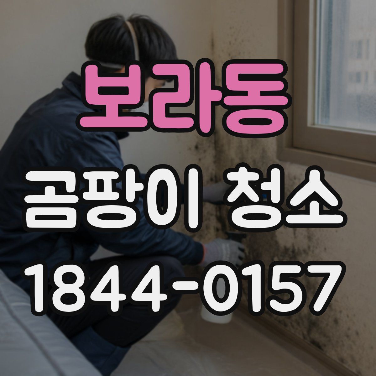보라동 곰팡이 청소