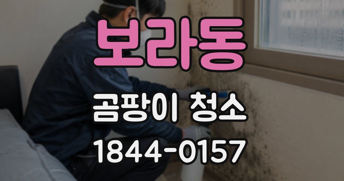 보라동 곰팡이 청소