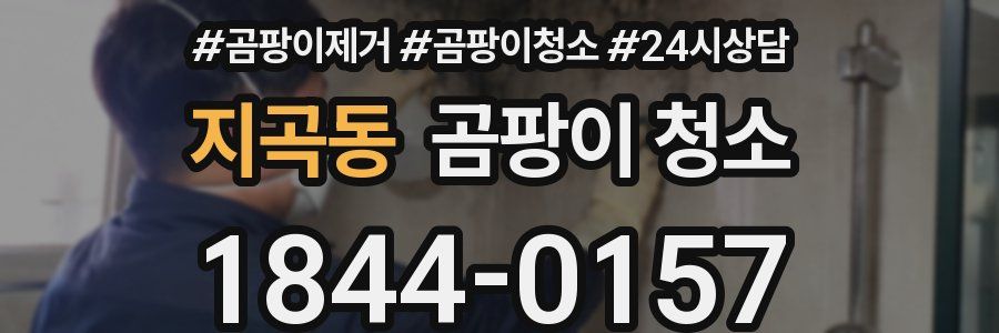 지곡동 곰팡이 청소
