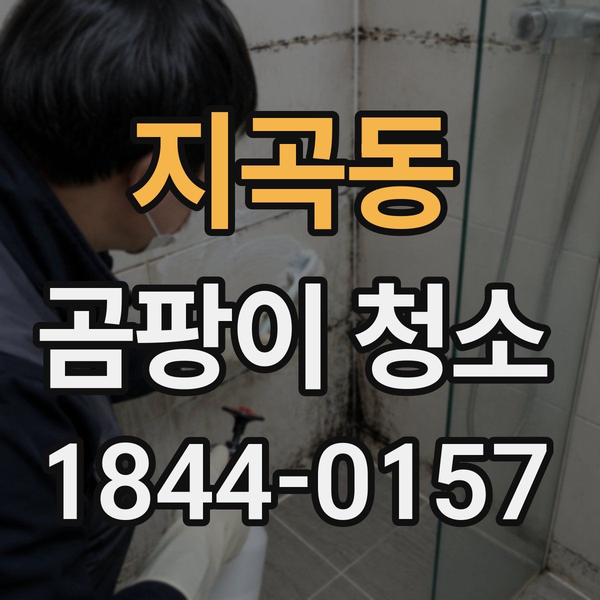 지곡동 곰팡이 청소