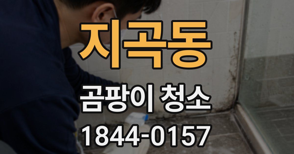 지곡동 곰팡이 청소