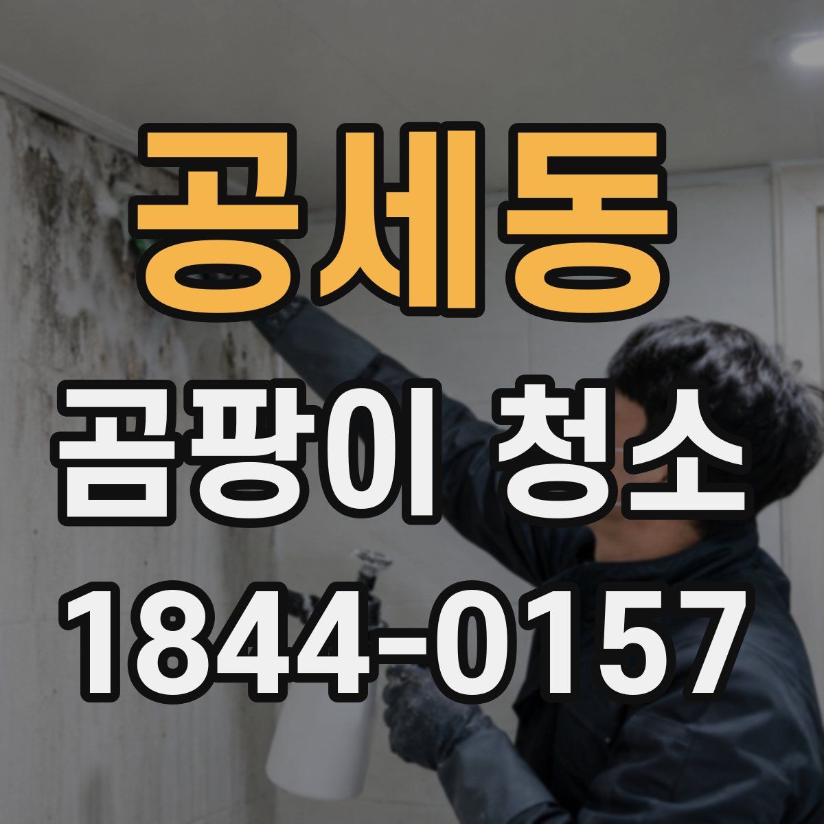 공세동 곰팡이 청소