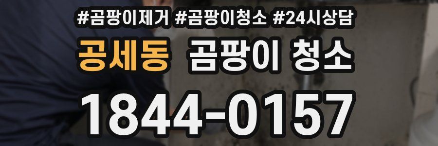 공세동 곰팡이 청소