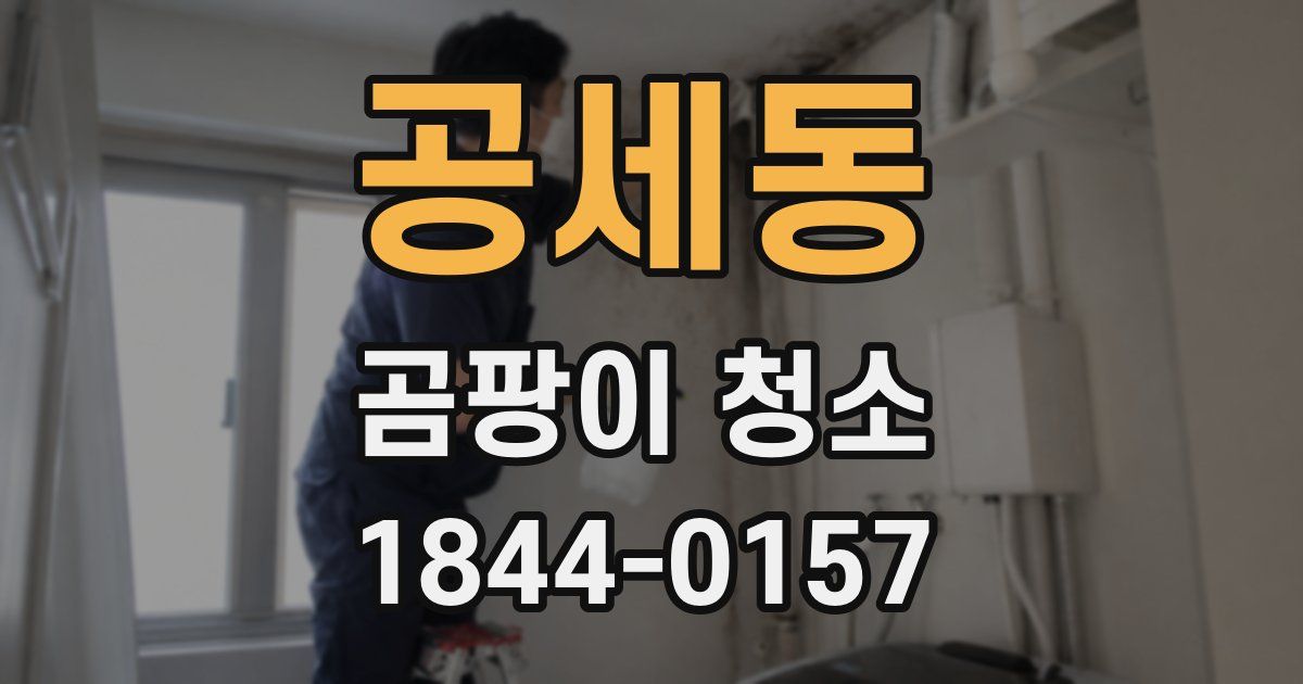 공세동 곰팡이 청소