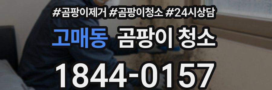 고매동 곰팡이 청소