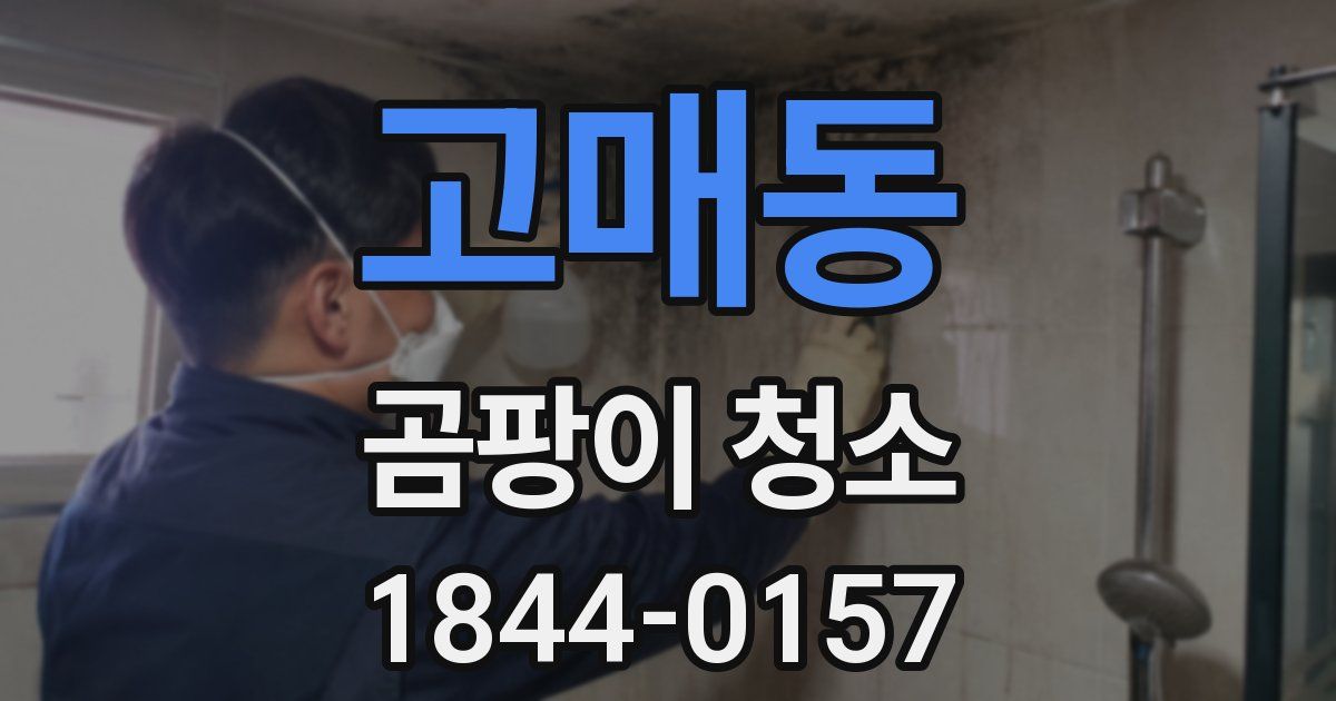 고매동 곰팡이 청소