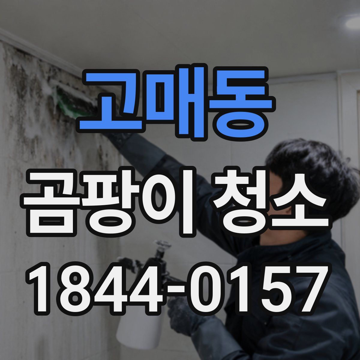 고매동 곰팡이 청소