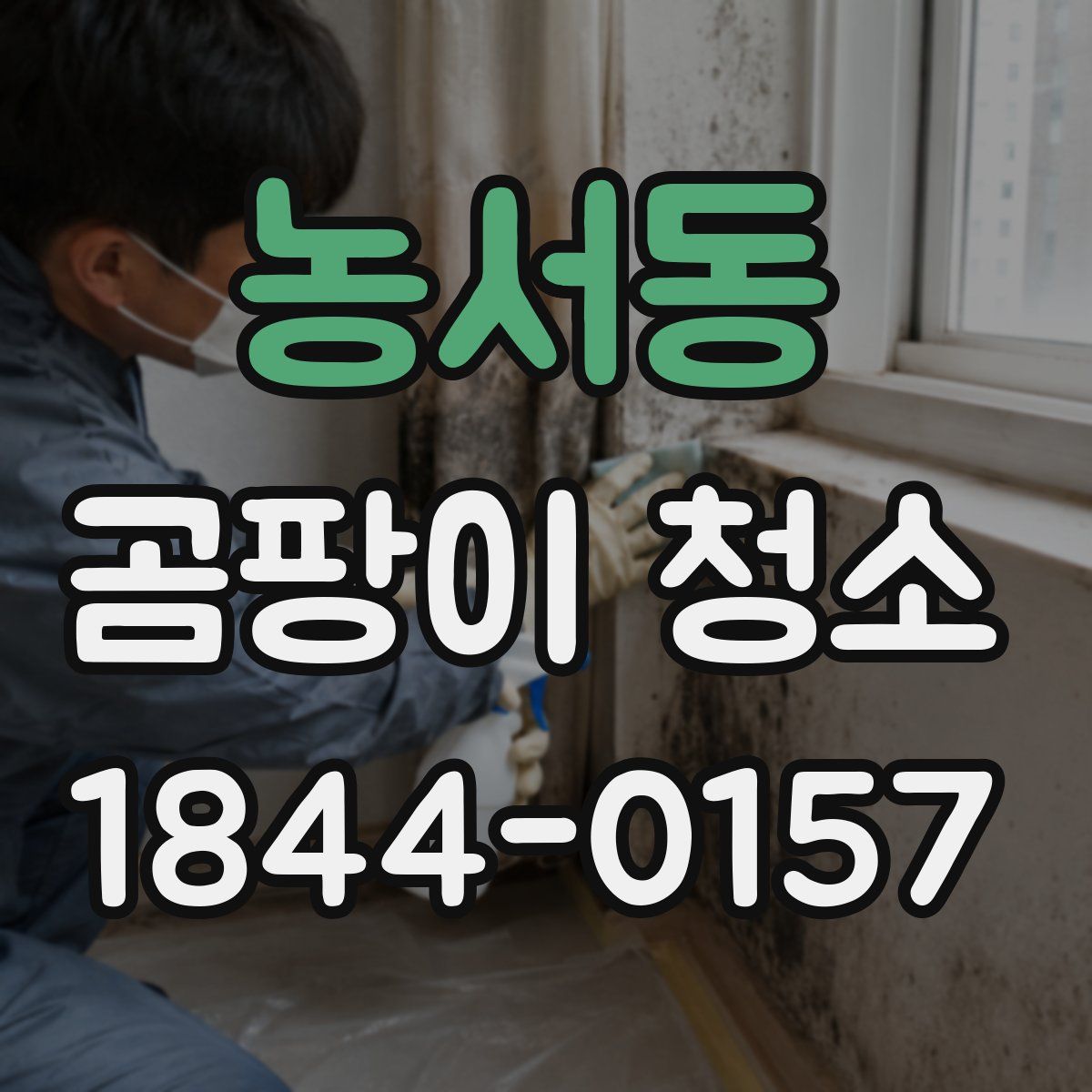 농서동 곰팡이 청소