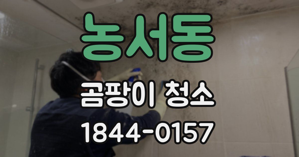 농서동 곰팡이 청소