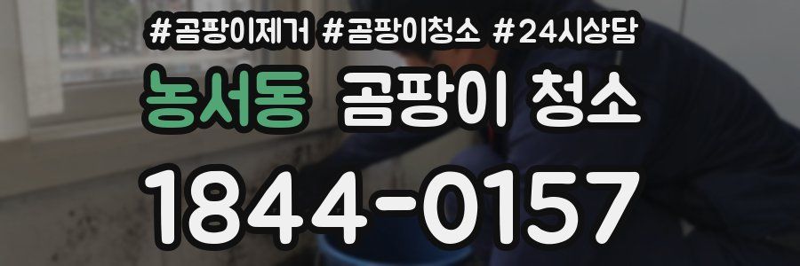 농서동 곰팡이 청소