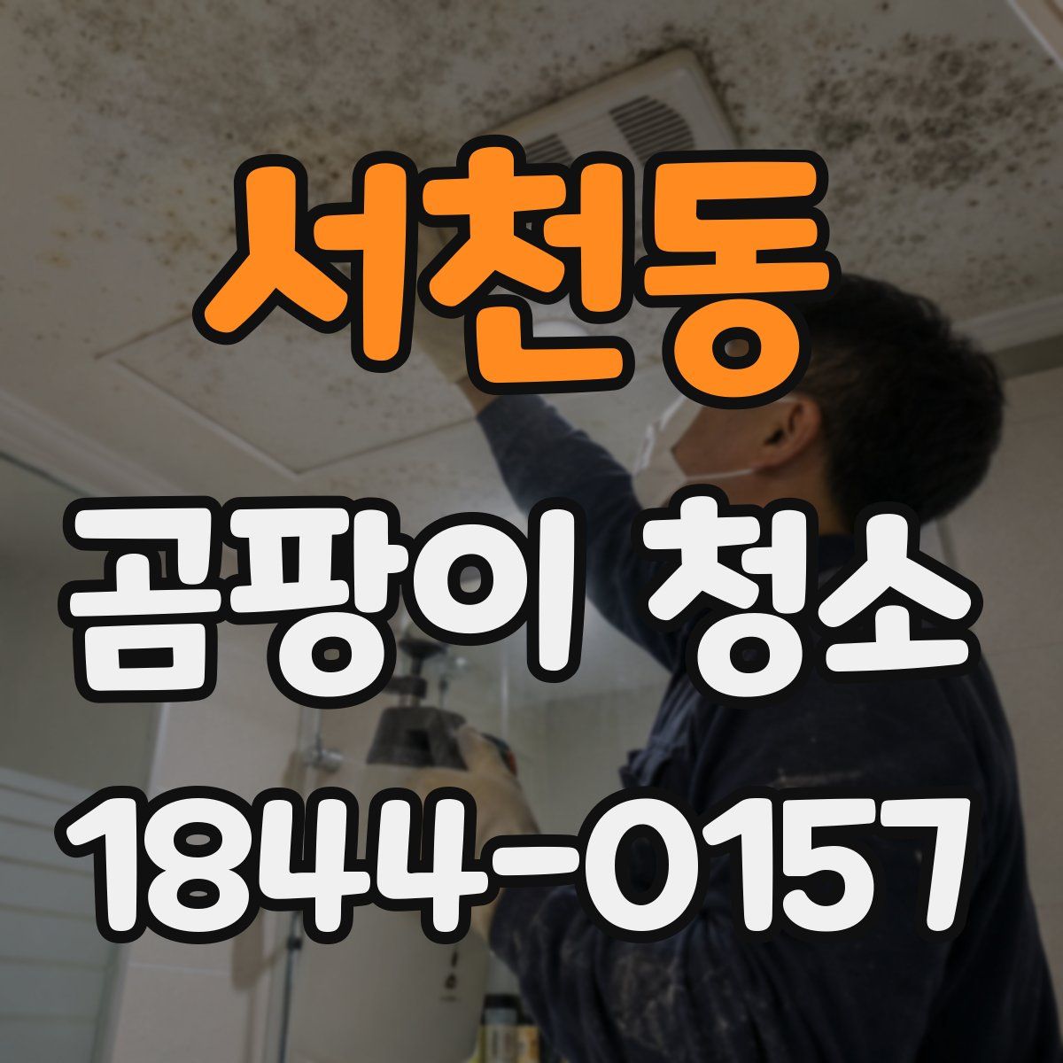 서천동 곰팡이 청소