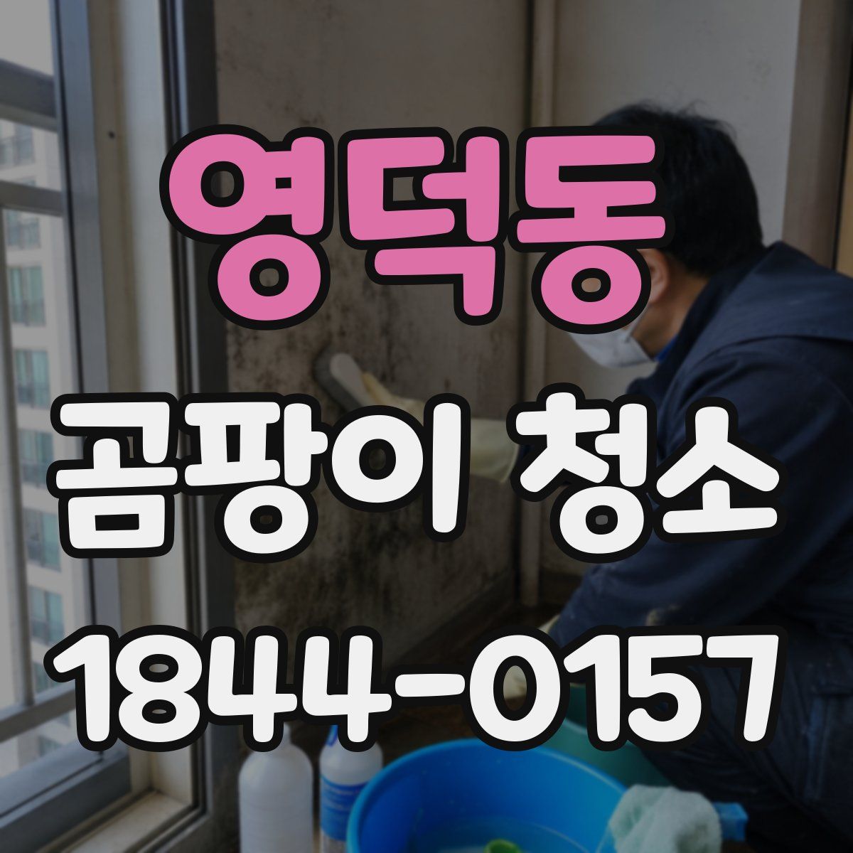 영덕동 곰팡이 청소