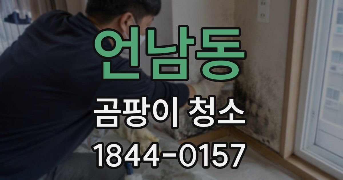 언남동 곰팡이 청소