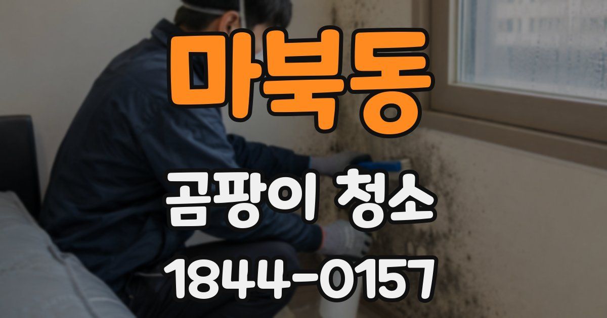 마북동 곰팡이 청소