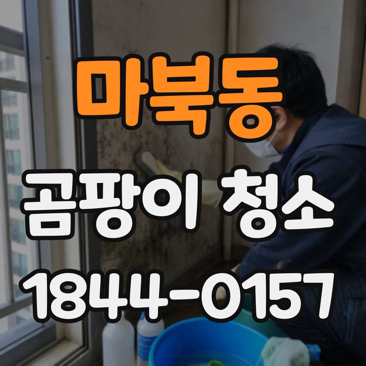 마북동 곰팡이 청소