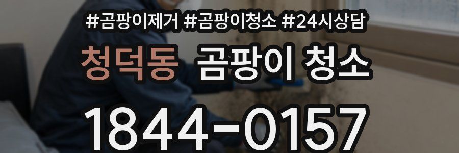 청덕동 곰팡이 청소