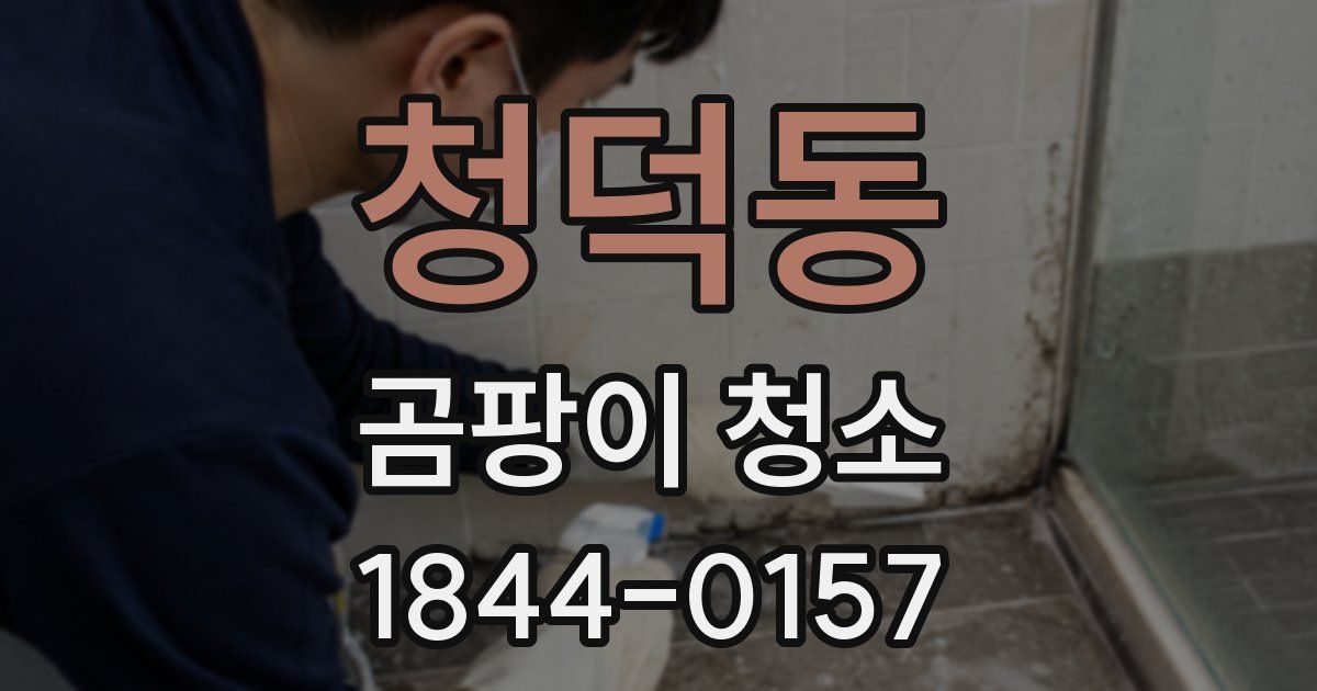 청덕동 곰팡이 청소