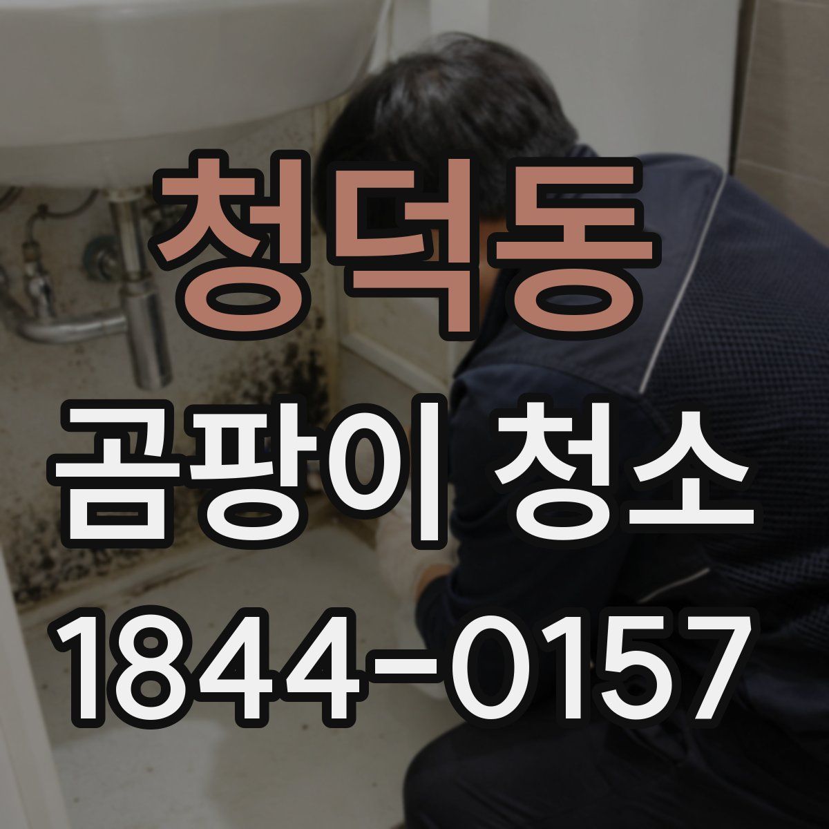 청덕동 곰팡이 청소