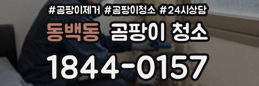 동백동 곰팡이 청소