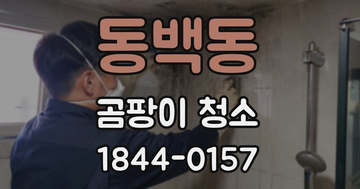 동백동 곰팡이 청소