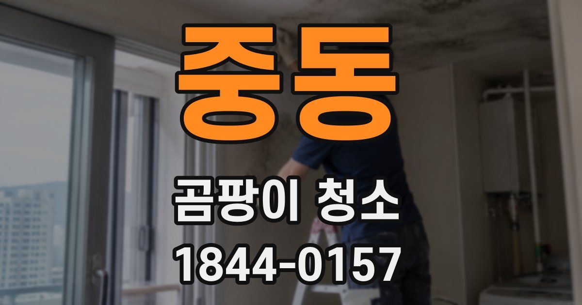 중동 곰팡이 청소
