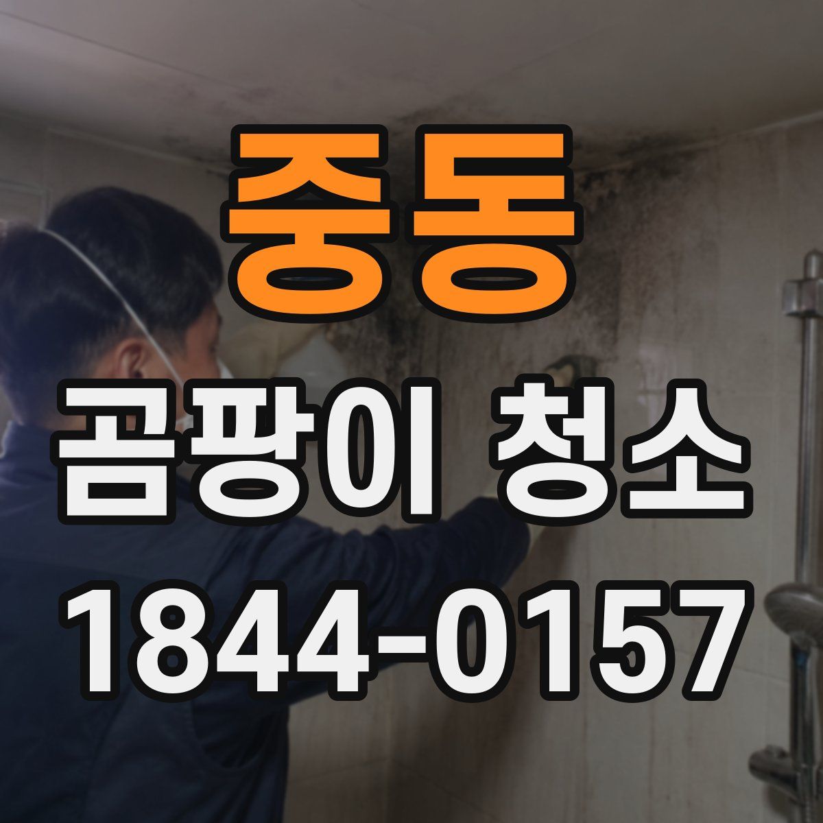 중동 곰팡이 청소
