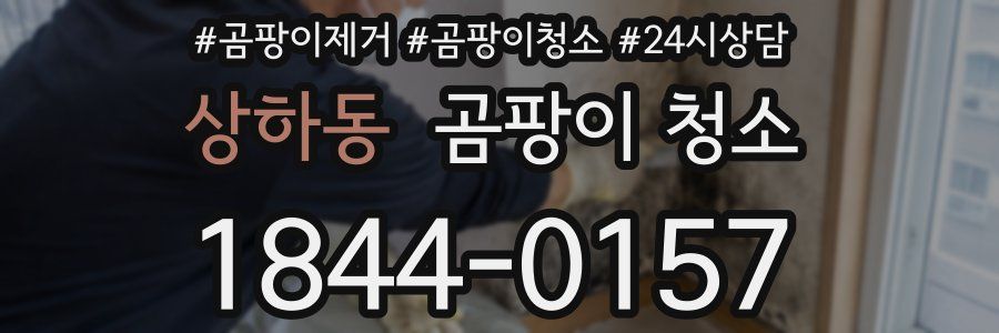 상하동 곰팡이 청소