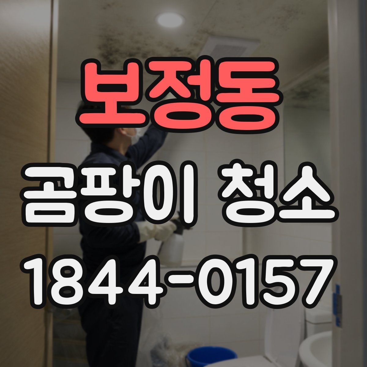 보정동 곰팡이 청소