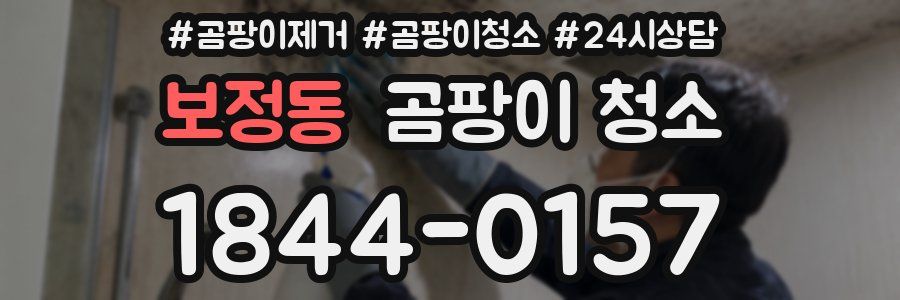 보정동 곰팡이 청소
