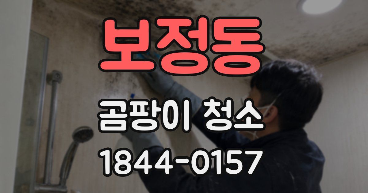 보정동 곰팡이 청소
